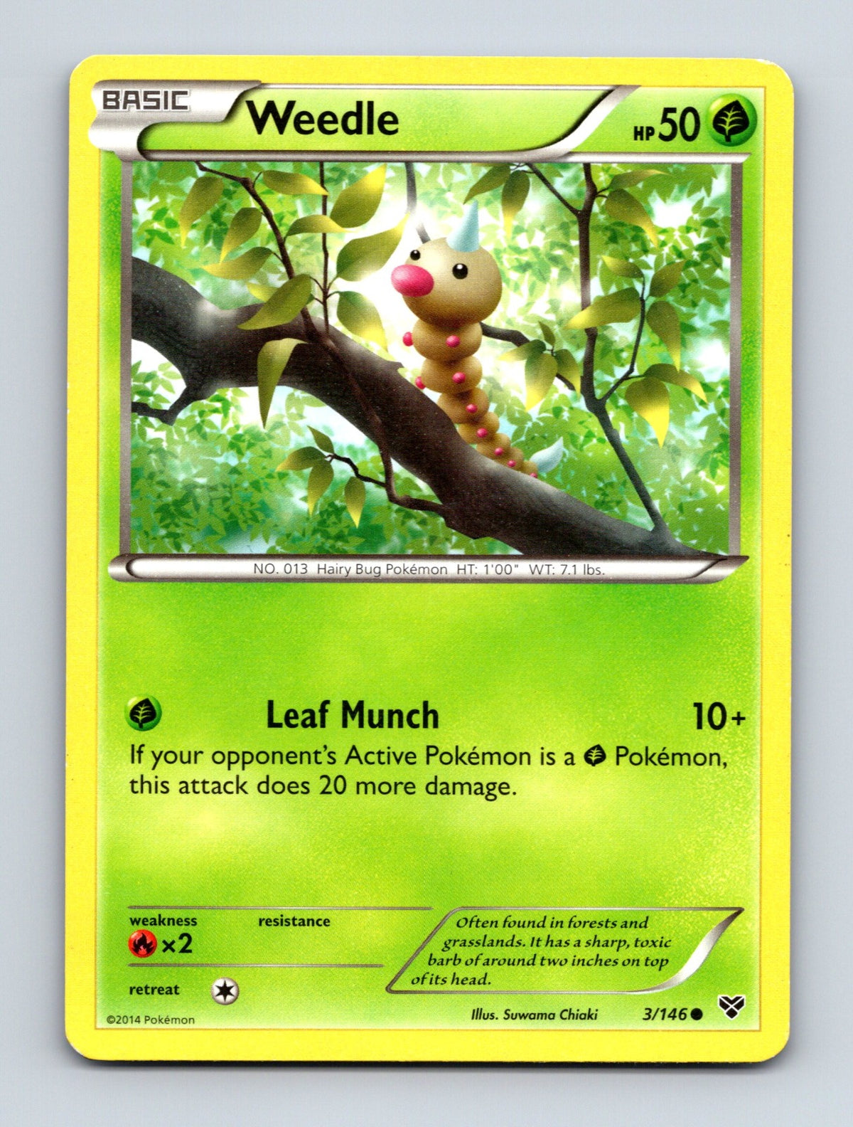 2014 Pokemon TCG Weedle XY Base Set 3/146 Common LP