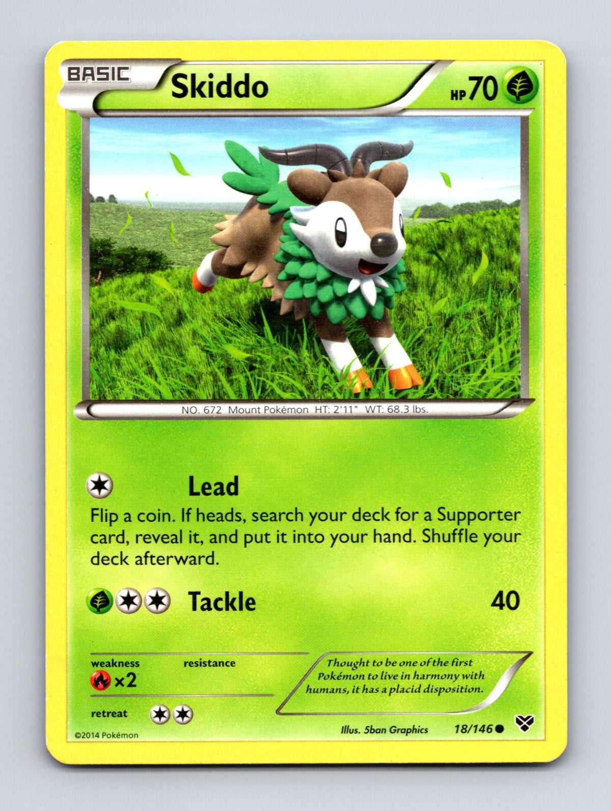 2014 Pokemon TCG Skiddo XY Base Set 18/146 Common LP
