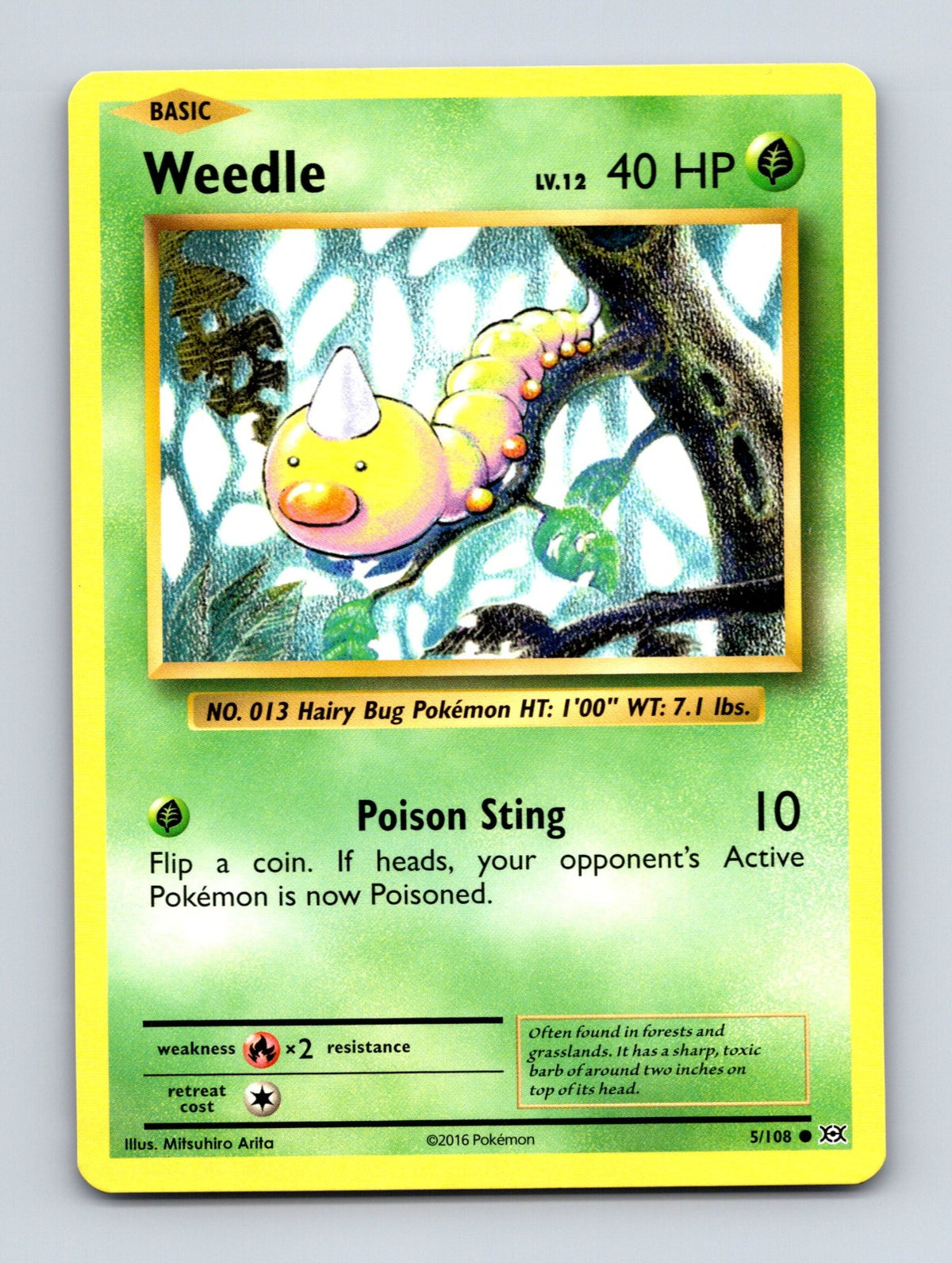 2016 Pokemon TCG Weedle XY - Evolutions 5/108 Common NM