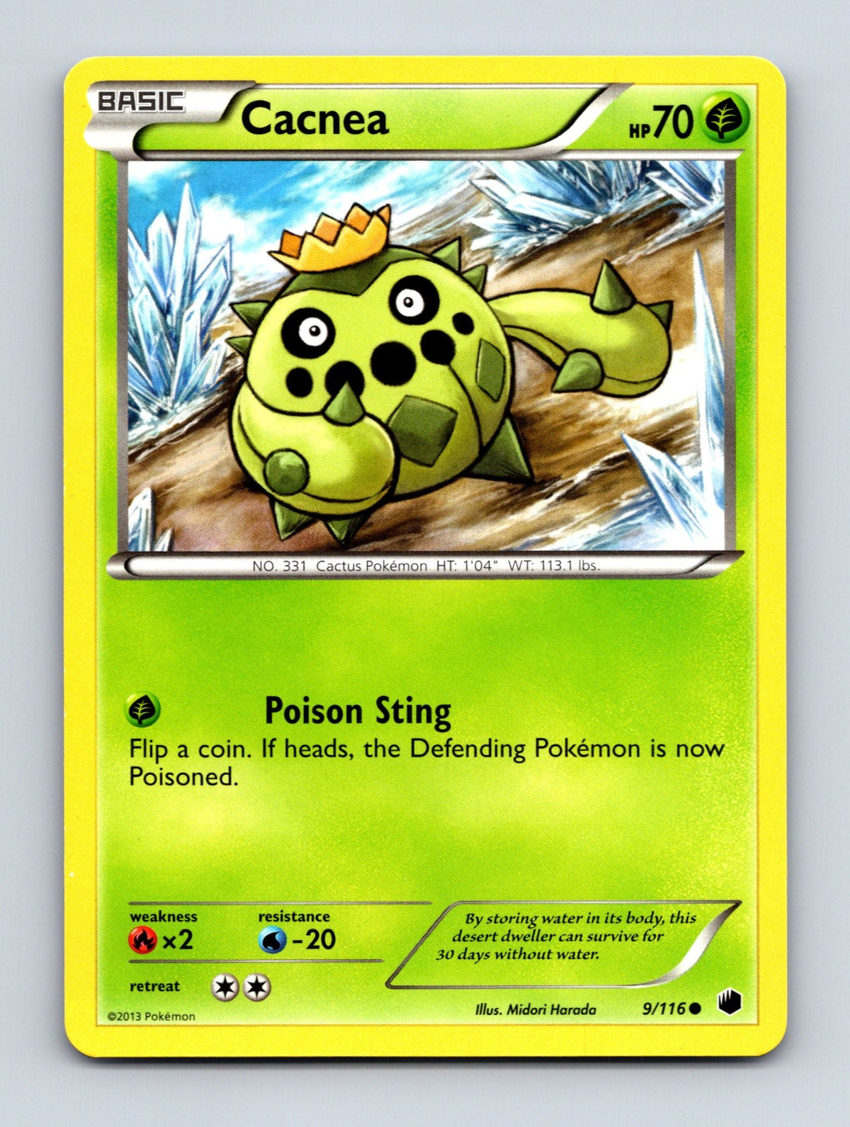 2013 Pokemon TCG Cacnea Plasma Freeze 9/116 Common NM