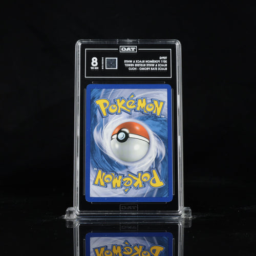 2011 Pokemon Black & White Black Star Promo Tepig #BW07 Holo Promo TAG 8 NM-MT