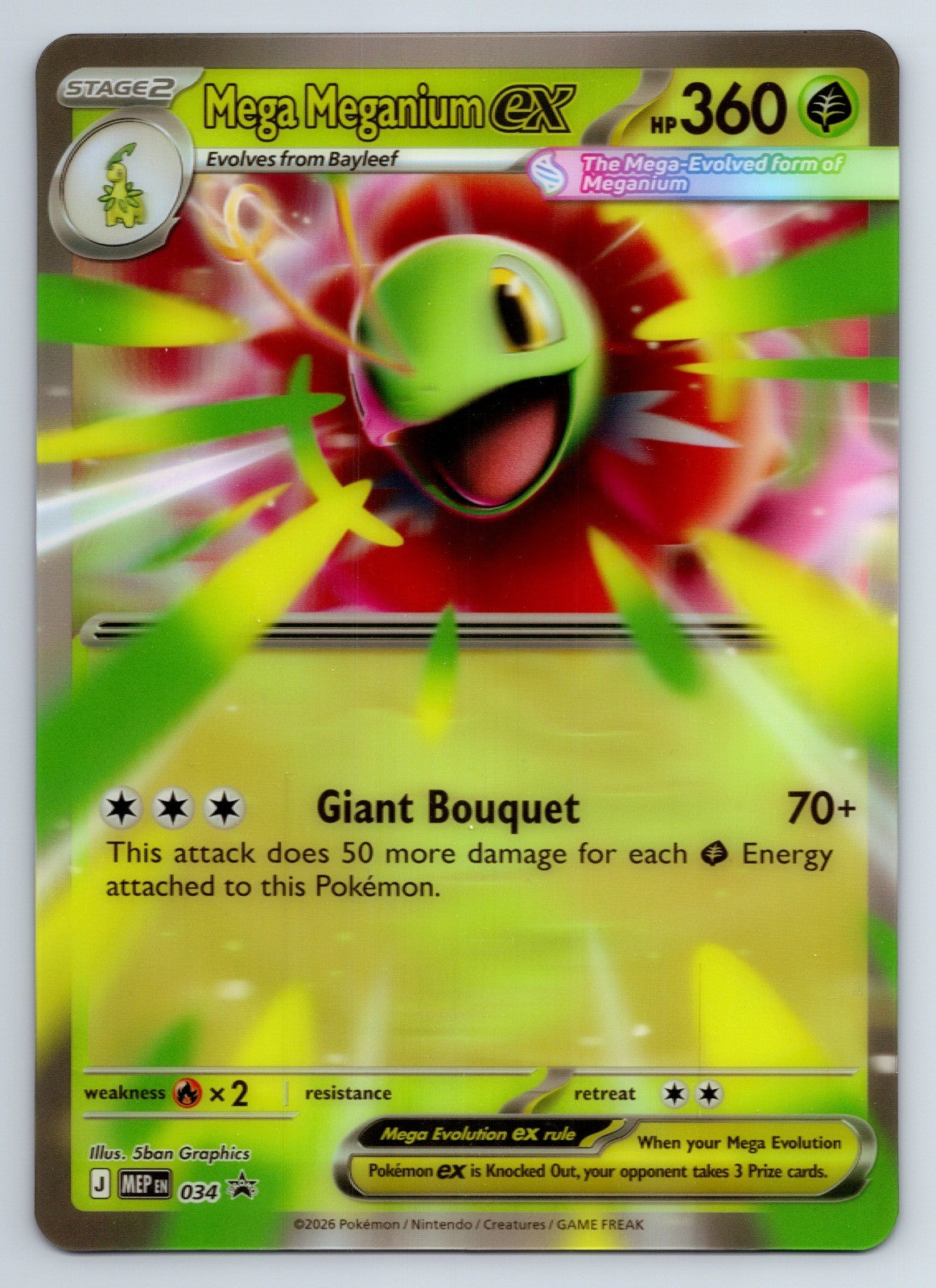 Pokemon Mega Meganium ex 034 Holo Promo Jumbo Oversized NM