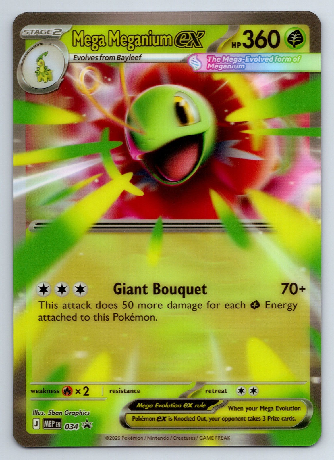 Pokemon Mega Meganium ex 034 Holo Promo Jumbo Oversized NM