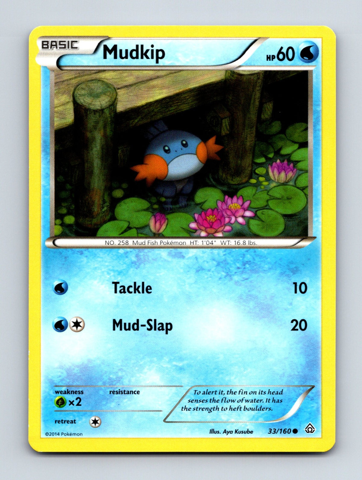 2015 Pokemon TCG Mudkip XY - Primal Clash 33/160 Common NM