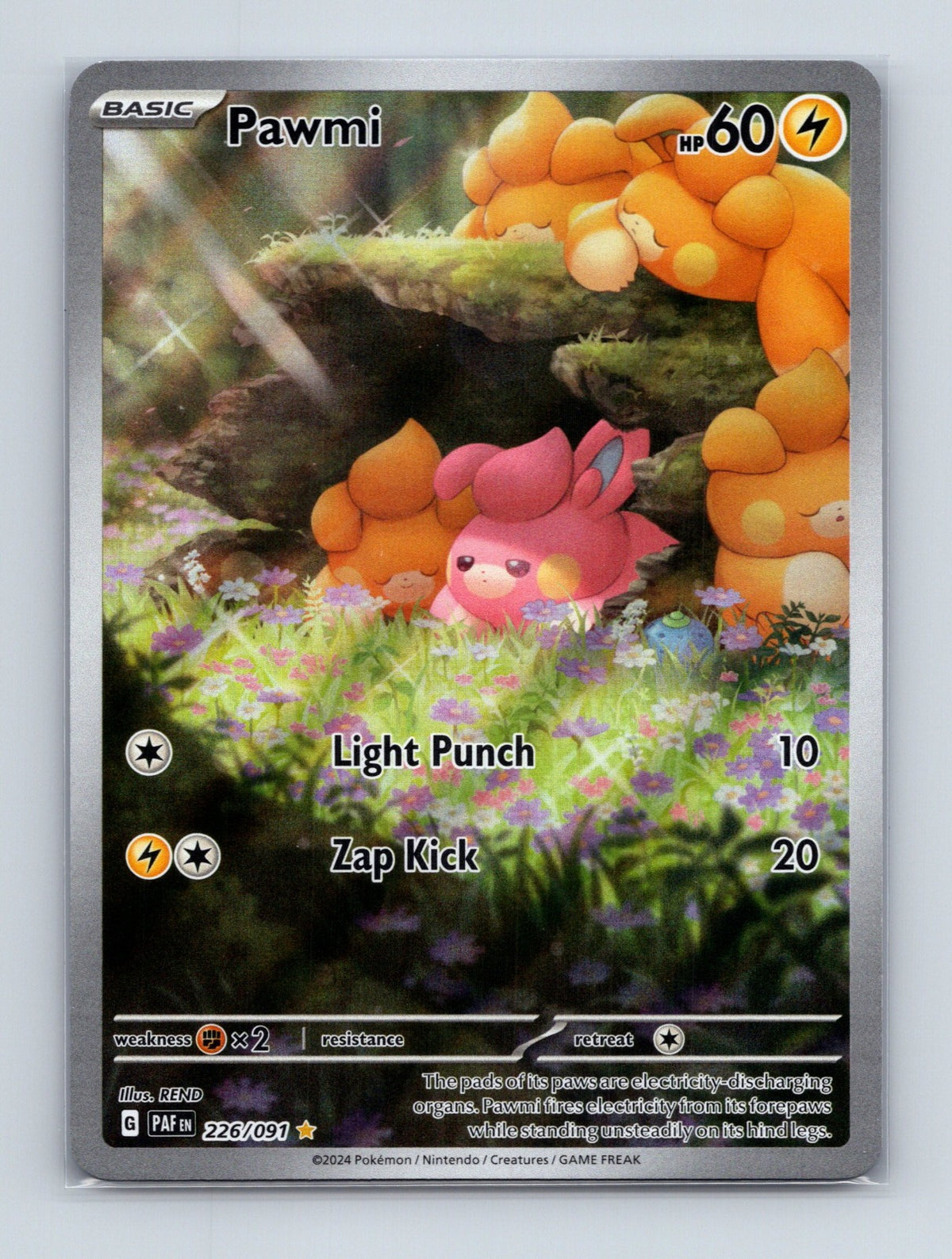 2024 Pokemon TCG Pawmi SV: Paldean Fates 226/091 Holo Illustration Rare NM