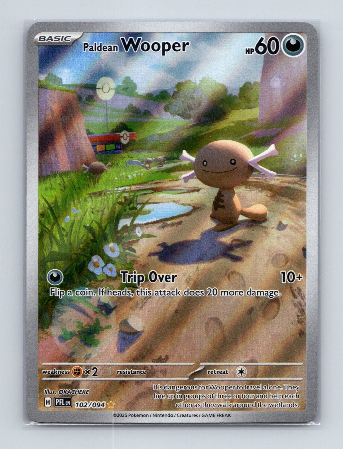 2025 Pokemon Paldean Wooper ME02: Phantasmal Flames 102/094 Illustration Rare NM