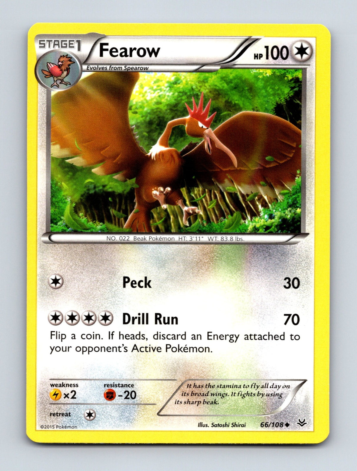 2015 Pokemon TCG Fearow XY - Roaring Skies 66/108 Uncommon NM