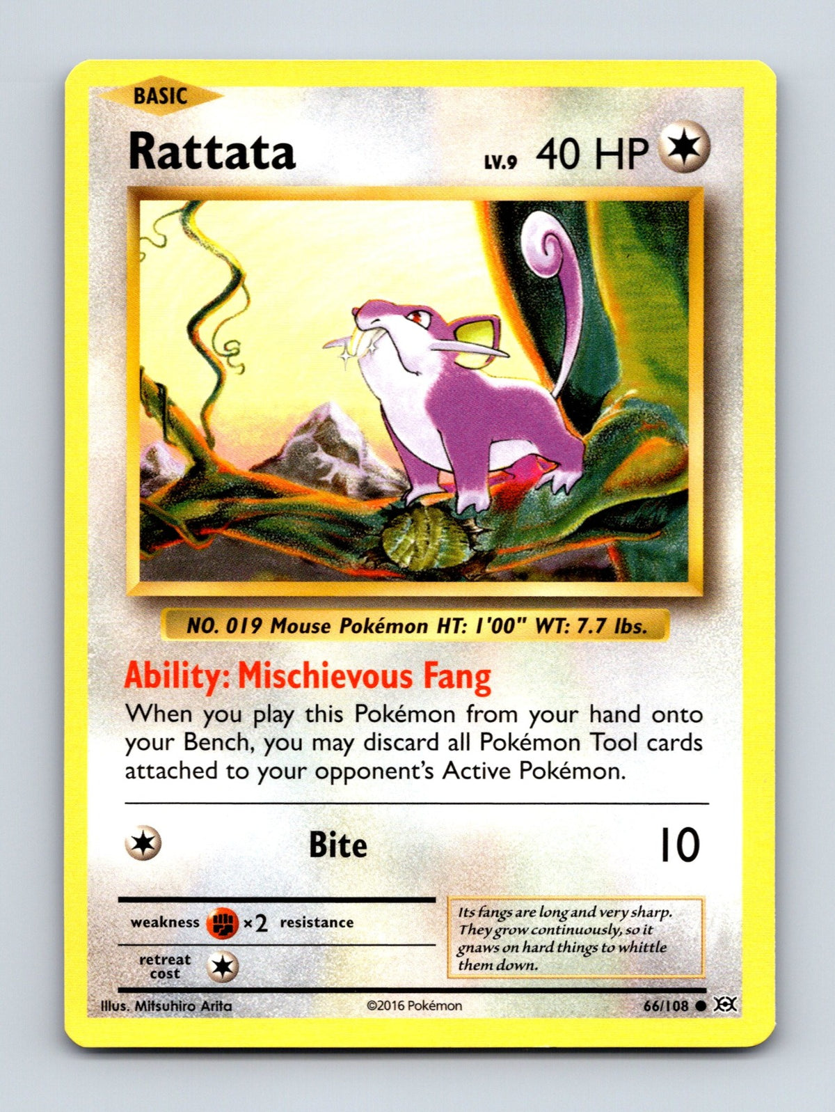 2016 Pokemon TCG Rattata XY - Evolutions 66/108 Common NM