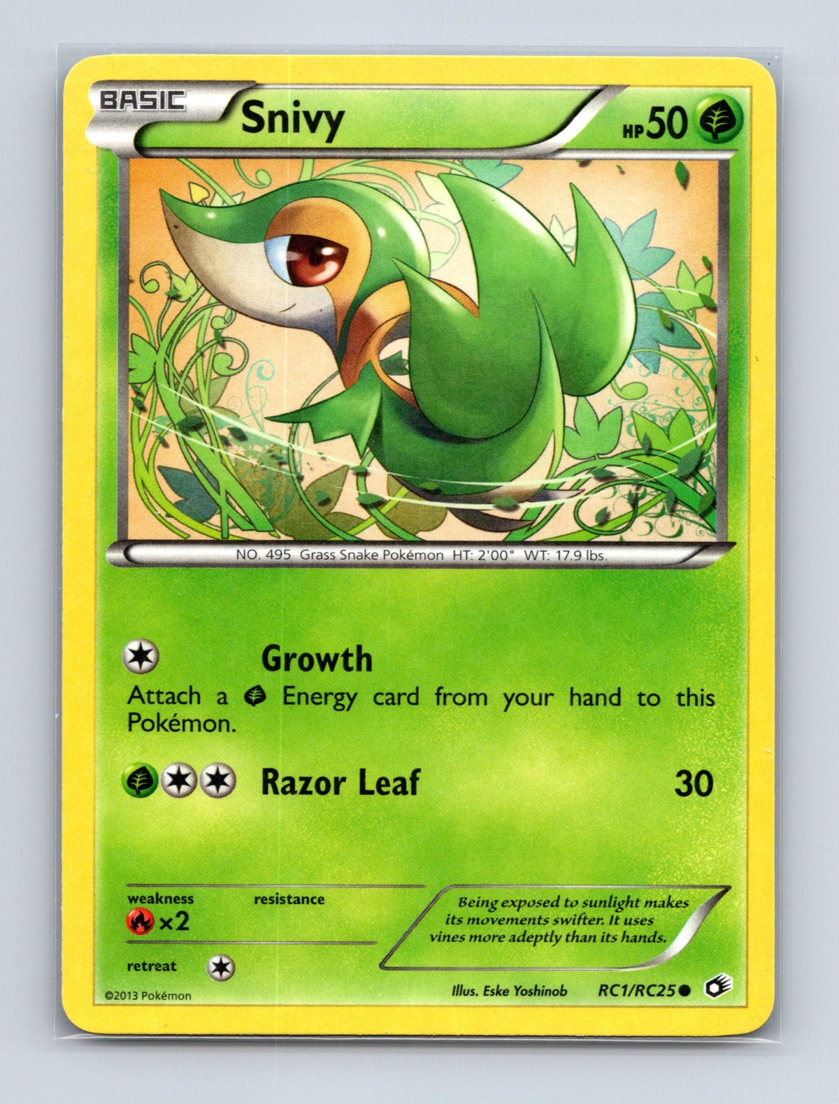 2013 Pokemon Snivy Legendary Treasures: Radiant Collection RC1/RC25 Common NM