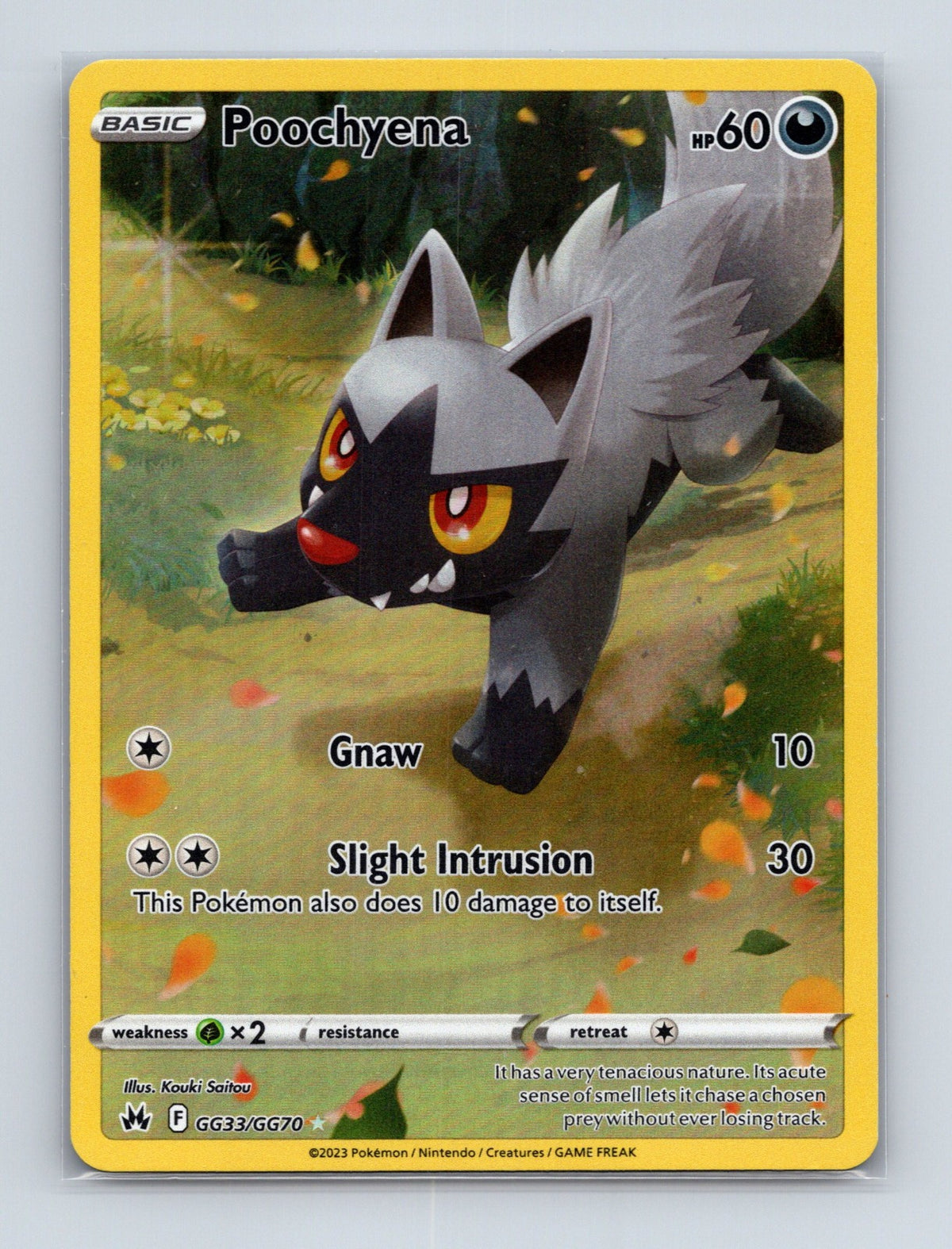 2023 Pokemon Poochyena SWSH: Crown Zenith: GG33/GG70 Ultra Rare NM