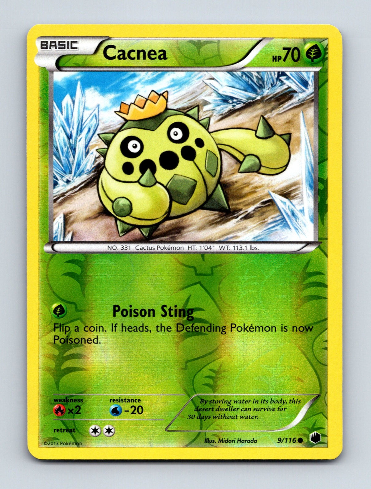 2013 Pokemon TCG Cacnea Plasma Freeze 9/116 Reverse Holo Common NM