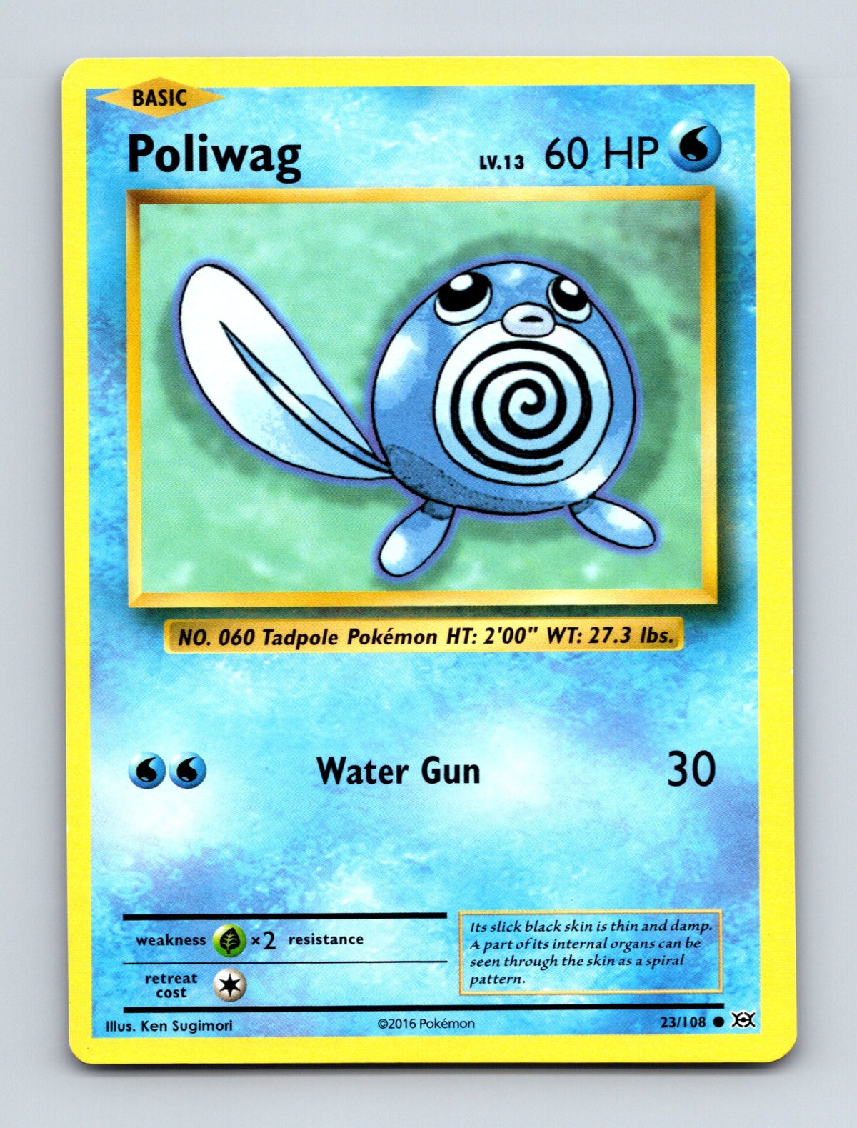2016 Pokemon TCG Poliwag XY - Evolutions 23/108 Common NM