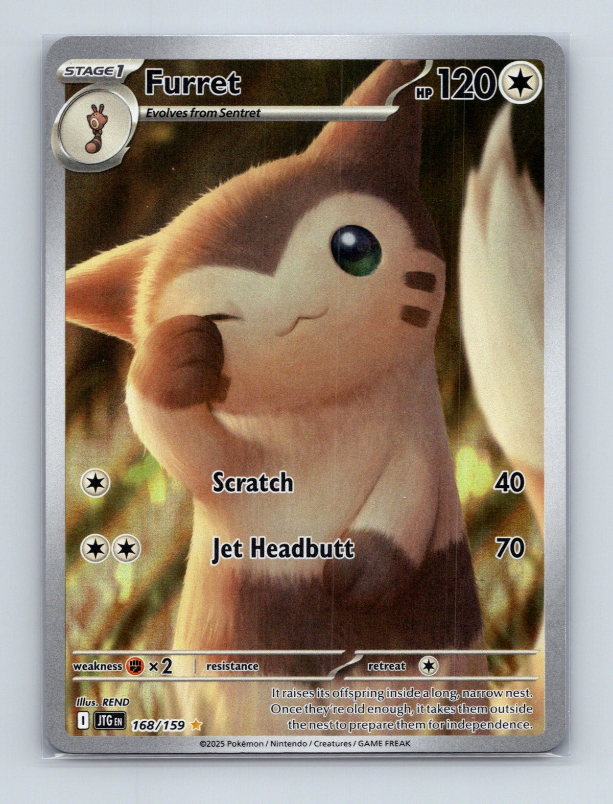 2025 Pokemon TCG Furret SV09: Journey Together 168/159 Holo Illustration Rare NM