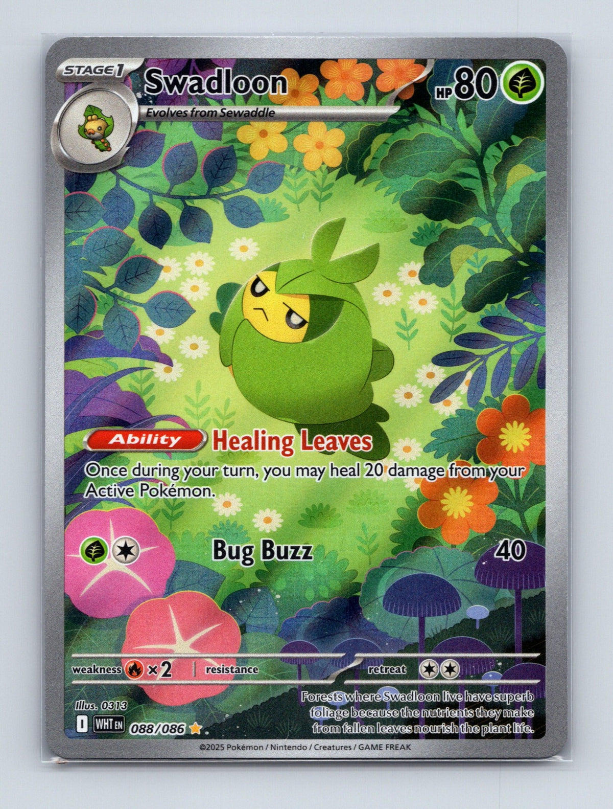 2025 Pokemon Swadloon SV: White Flare 088/086 Holo Illustration Rare NM