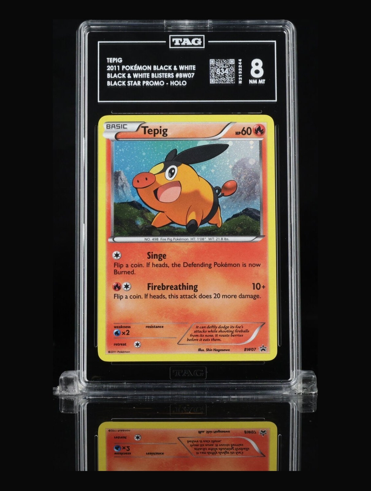 2011 Pokemon Black & White Black Star Promo Tepig #BW07 Holo Promo TAG 8 NM-MT